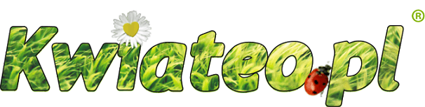 Logo firmy Kwiateo