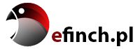 Logo firmy efinch