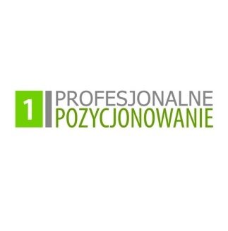 Profesjonalne pozycjonowanie logo