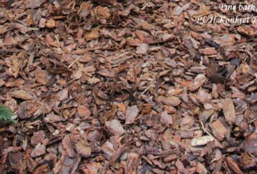 Pine bark fr. 3-6 cm