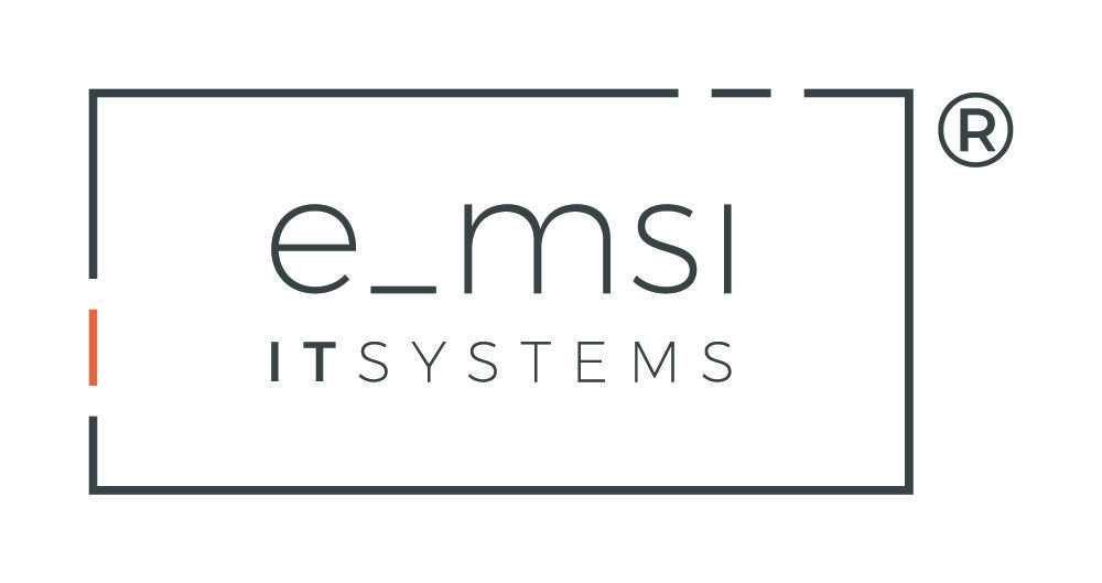 e_msi logo
