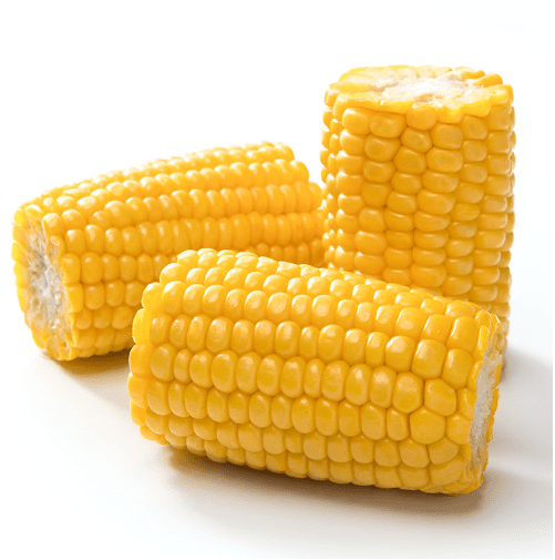 Sweet corn on cobs IQF. Delicious milky stage, sweet corn on cobs. Harvasted in heart of Poland. Global Gap certified.