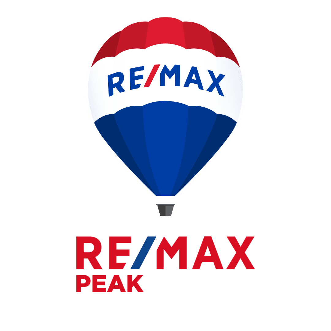 Remax logo