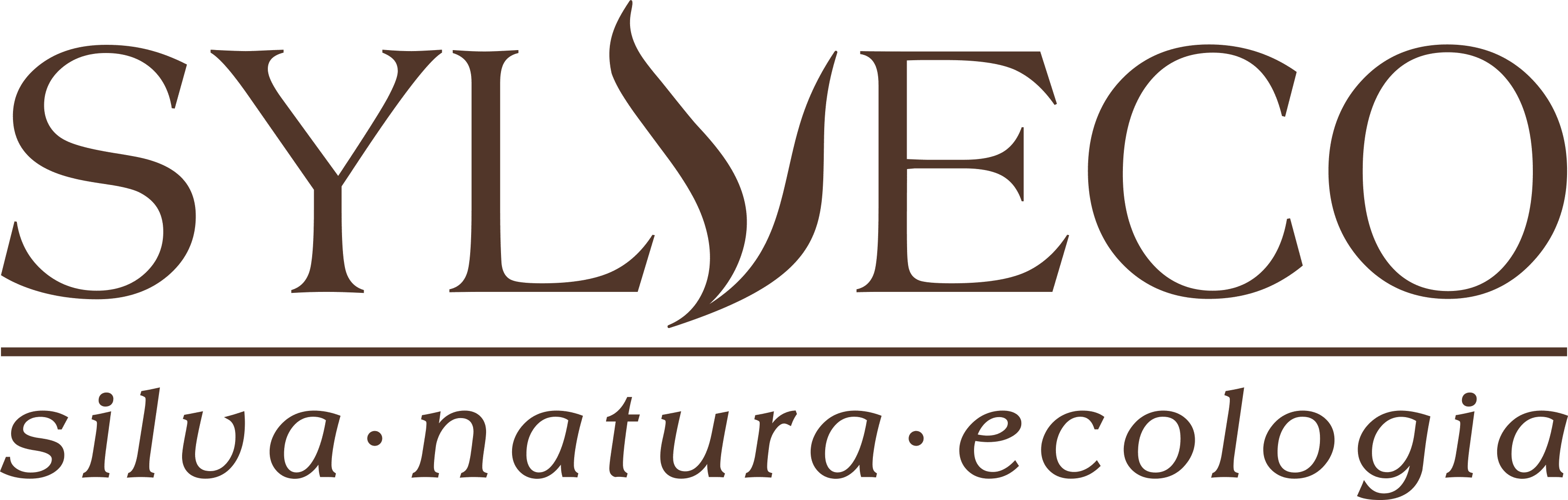 SYLVECO logo