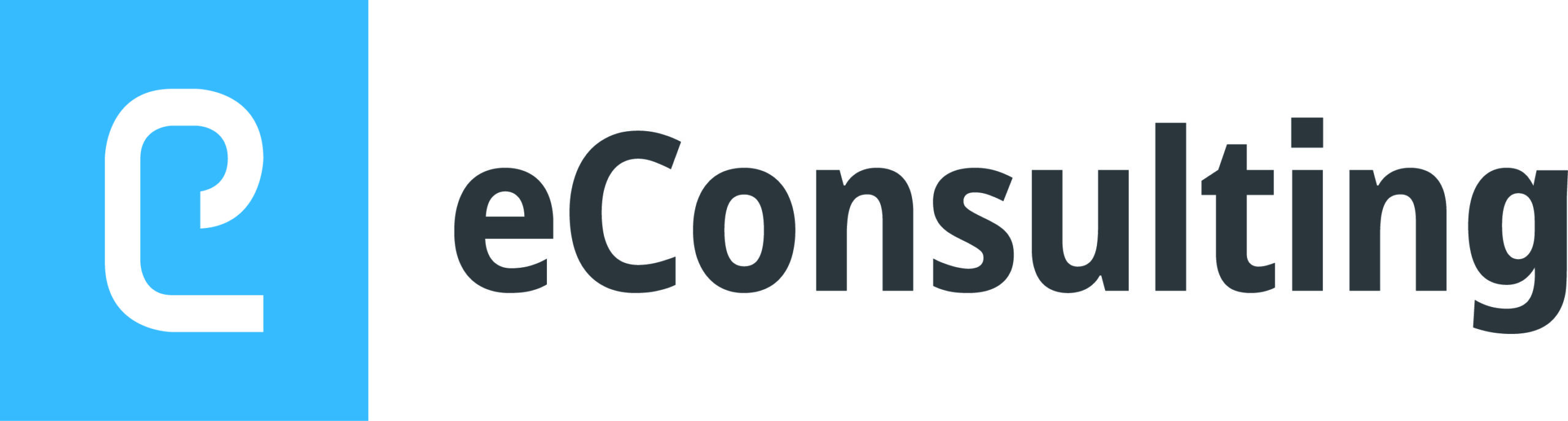 ECONSULTING logo