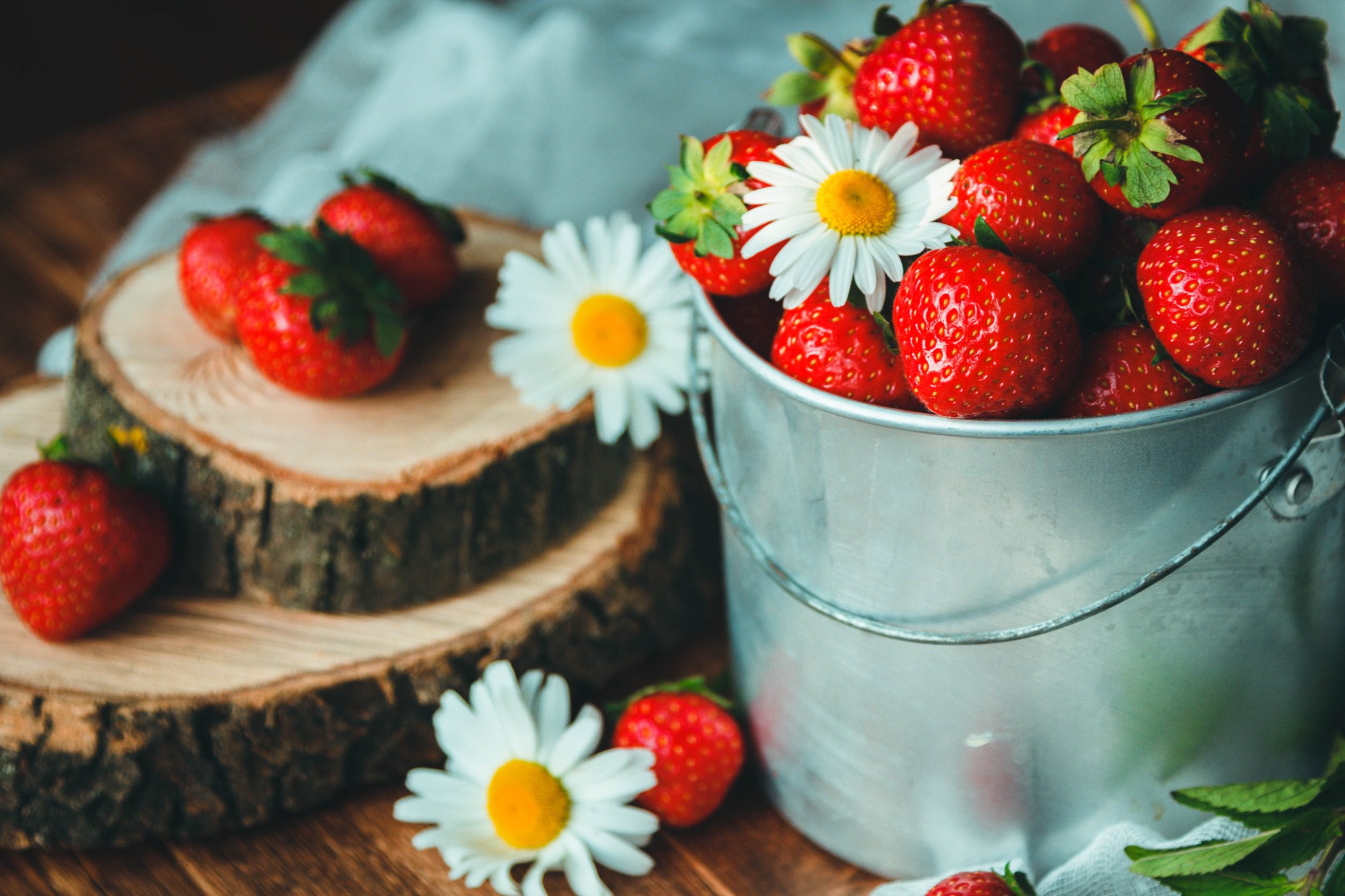 Red ripe Polish strawberries in a bucket, few chamomile flowers as decoration