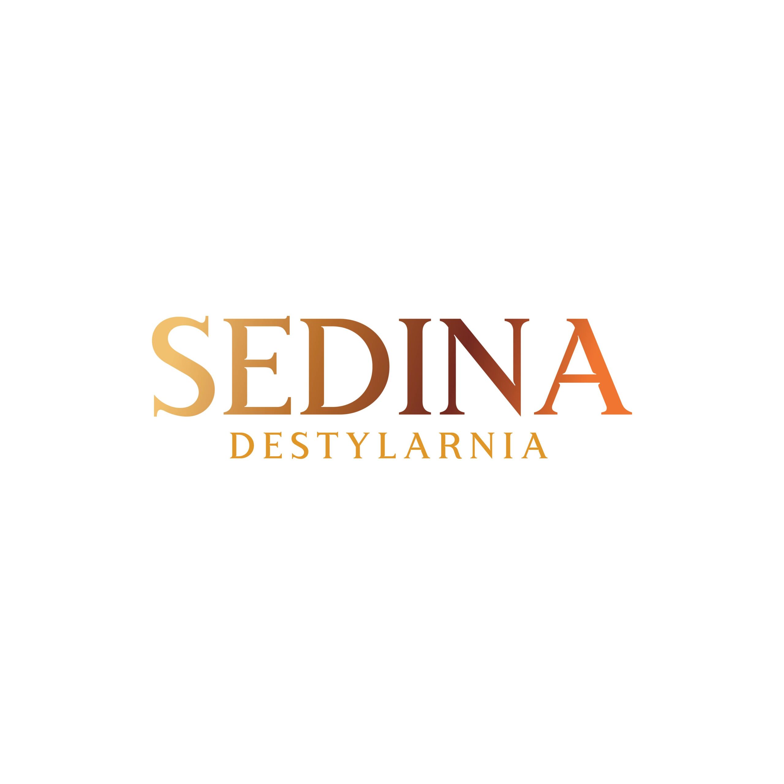 DESTYLARNIA SEDINA logo