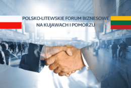 uscisk dloni i flagi-polska i litewska