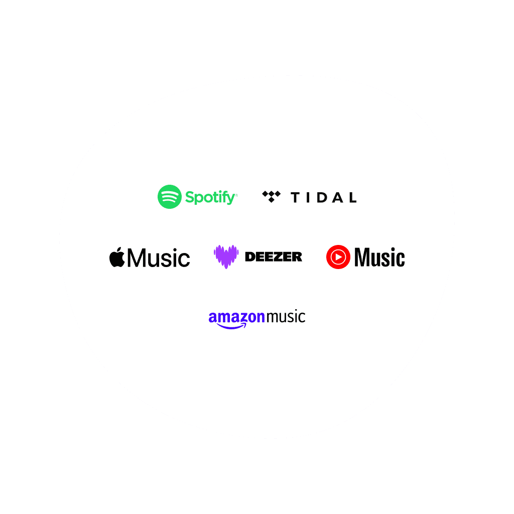 Global digital audio and video distribution to over 100 streaming services worldwide, such as Spotify or VEVO.