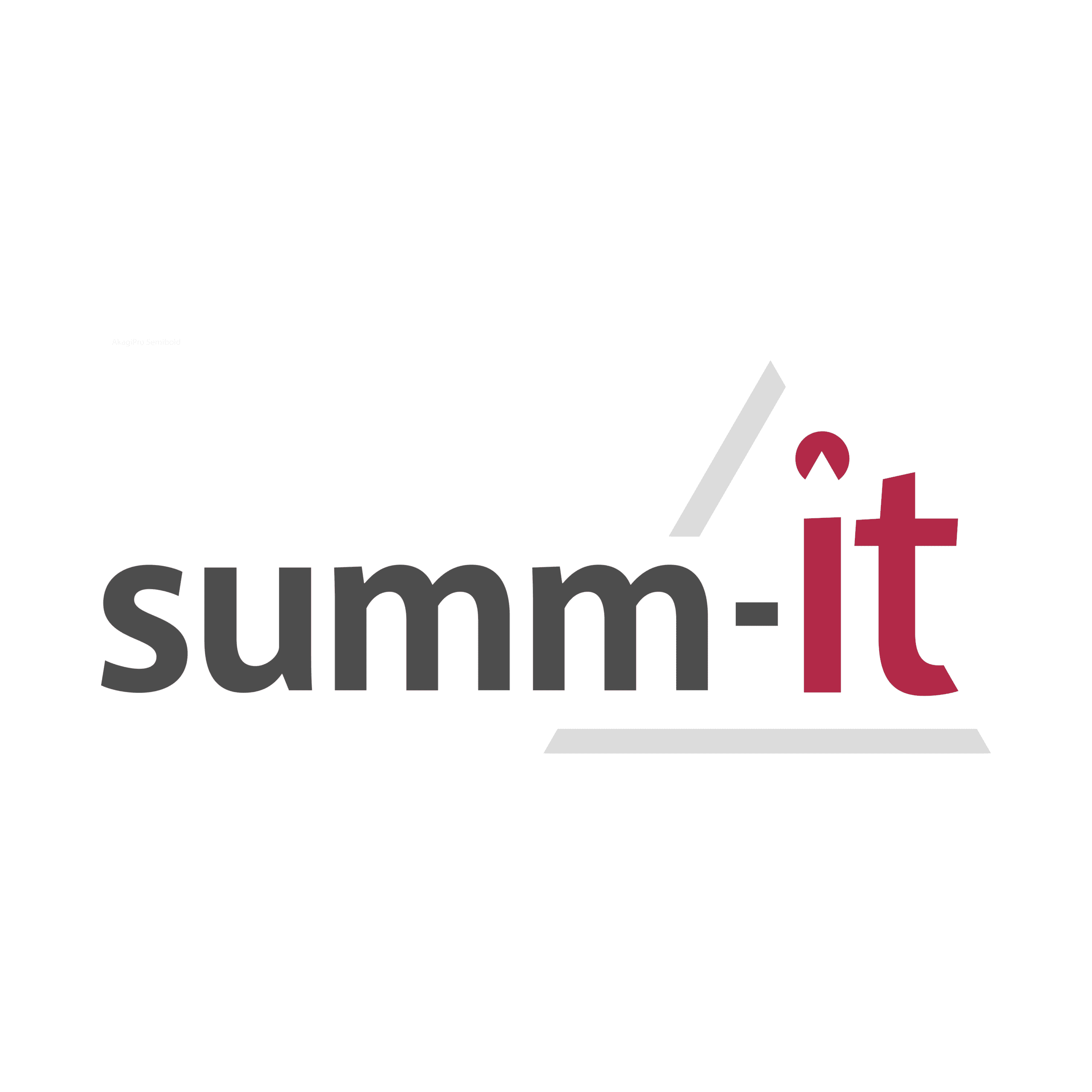 SUMM-IT logo