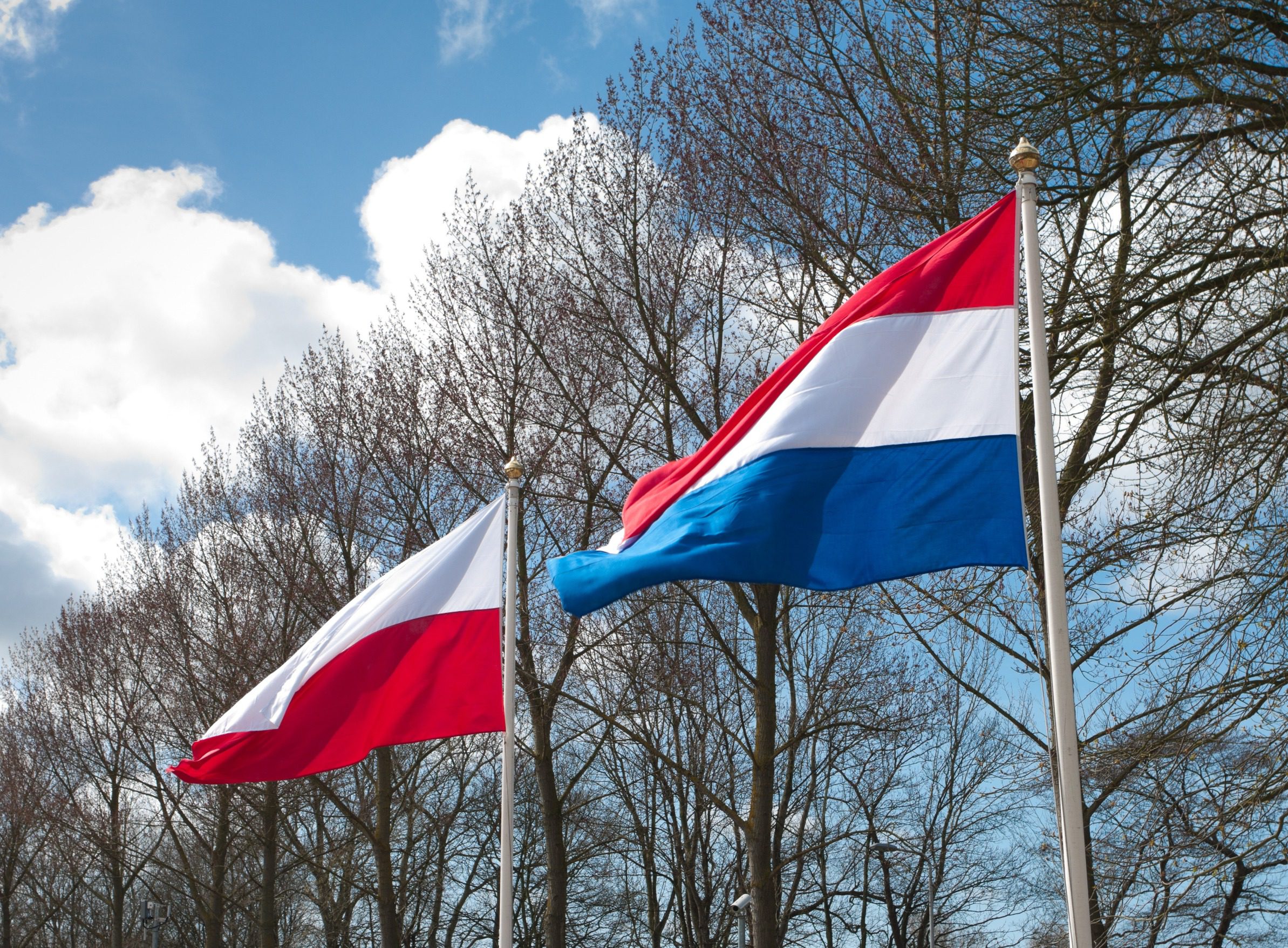 flagi polska i niderlandii na tle drzew bez liści