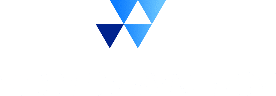 Vector Synergy logo