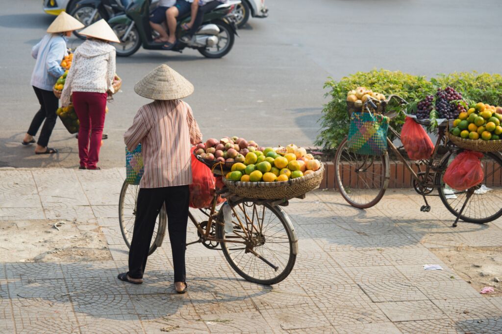 Vietnam's traditional fruit vendors