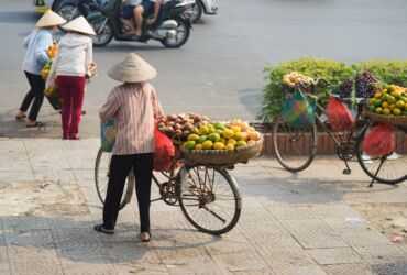 Vietnam's traditional fruit vendors
