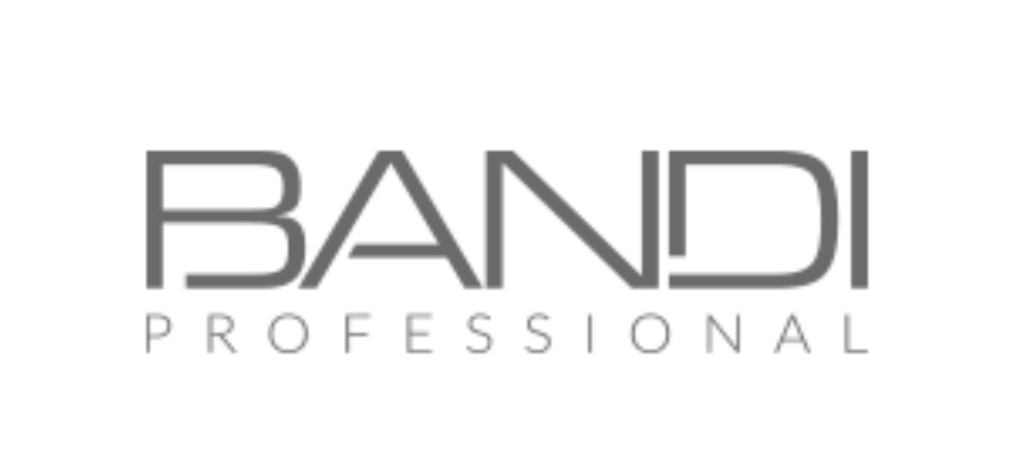 Bandi logo