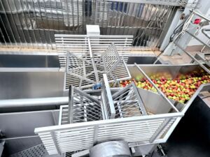 Dispenser mounted on an apple processing line