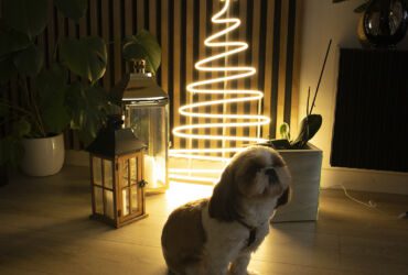 Christmas Neon